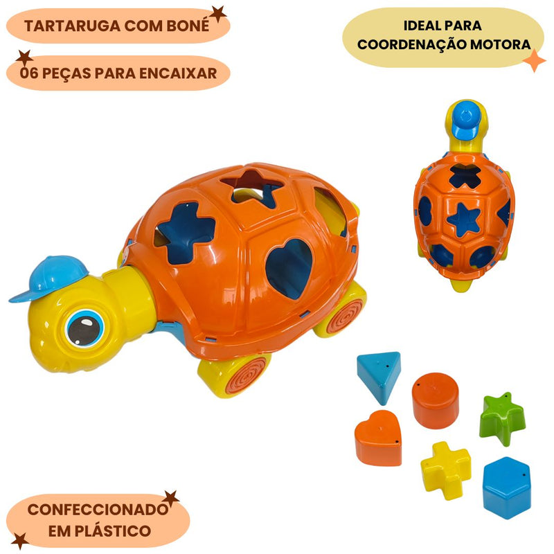 Brinquedo Educativo Tartaruga Luli Infantil Criança Coordenação Motora Encaixe